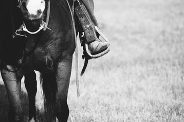 Western lifestyle concept with cowboy boot in stirrup while riding horseback in black and white, copy space on blurred field background. - obrazy, fototapety, plakaty