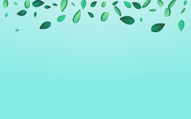 Green Greens Fly Vector Blue Background