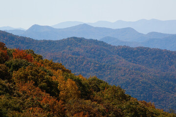 Fototapeta na wymiar Fall colors in the Great Smoky Mountains