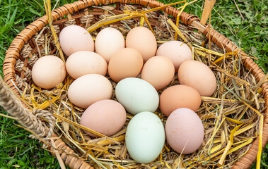 Homemade eggs in a wicker basket. Farm products.