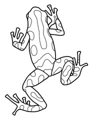 Little frog. Spotted poison dart frog. Coloring page. Black outline.