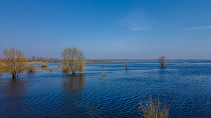 Flooded trees during a period of high water. Trees in water. Landscape with spring flooding of Pripyat River near Turov, Belarus.