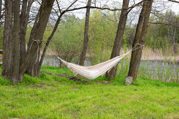 white hammock hanging on two trees in the forest