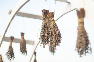 Hanging bunches of dried lavender