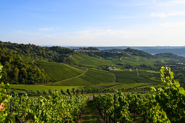 Naklejka premium Beautiful view of a vineyard panorama with a funerary chapel on a hill in the background near Stuttgart, Germany.