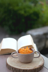 Bowl of spicy tortilla chips and open book in a garden. Selective focus.