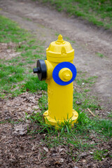 Fototapeta na wymiar Yellow Fire hydrant near path by grass. 
