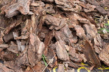 a pile of bark lying on the ground in the garden