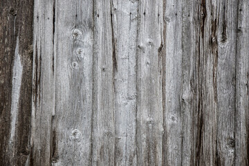 Fototapeta premium background wood