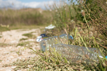 Plastic bottle of water thrown in the nature, among vegetation at the side of the road.