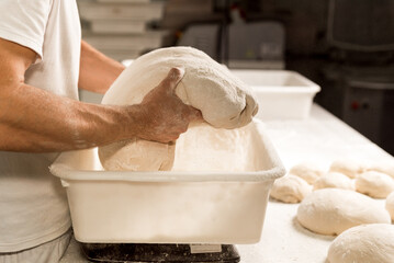 young baker in bakery shop sprinkling flour with strainer on fresh bread dough in front of oven....