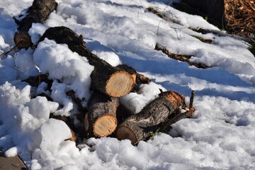 Troncos de madera cubiertos por la nieve