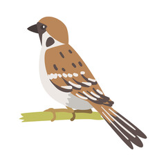 Sparrow as Brown and Grey Small Passerine Bird with Short Tail Sitting on Branch Vector Illustration