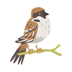 Sparrow as Brown and Grey Small Passerine Bird with Short Tail Sitting on Branch Vector Illustration