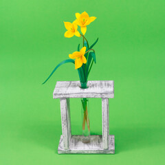 Yellow flowers of forest tulip in a glass flask on a wooden stand on green background. Mother's...