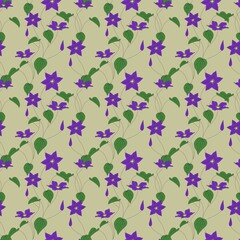 Seamless pattern clematis flower