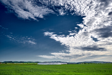Rows of greenhouses under the blue sky in Russia