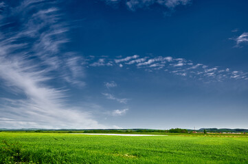 greenhouses against the blue sky in the clouds