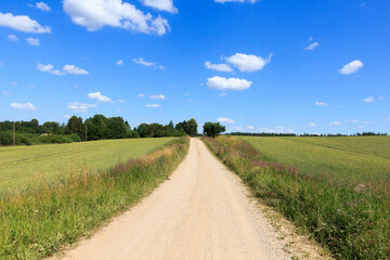 Countryside view. A small dirt road through cereal fields.