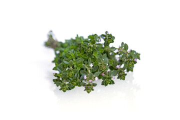 Fototapeta premium Fresh thyme bunch isolated on white background