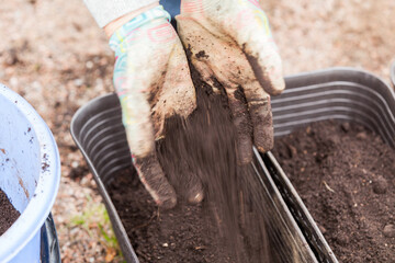 Gardener hands with brown dry soil, close up