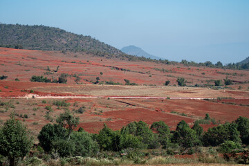 Fototapeta na wymiar Drying chili on massive hill fields in Myanmar