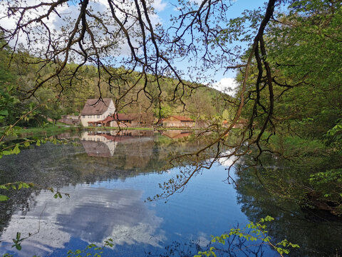 Blick über den Teich auf die Kartause Grünau bei Hasloch am Main
