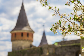 Fototapeta premium Spring white apple blossom against the old castle. Spring cherry blossoms on blue background for postcard or banner. Beautiful floral spring abstract background of nature
