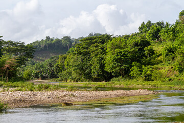 river in the forest Dominican Republic