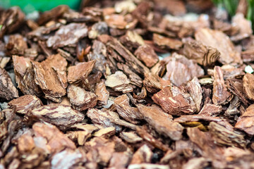 A bark on the ground in the park nature background
