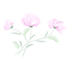 A bouquet of soft pink watercolor flowers. Gorgeous peonies. Postcard, template. Vector illustration, eps