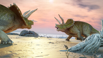 Triceratops horridus dinosaur at the ocean © dottedyeti