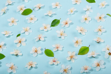 Frame from Beautiful spring white flowers on blue background. Flower pattern