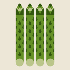 Asparagus vector drawing. Isolated asparagus, vegetable.
