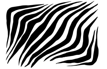 Zebra stripes, wild animal pattern, abstract striped background. Black and white backdrop.