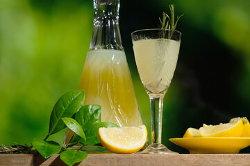 Alcoholic drink limoncello. Glass of Italian lemon liqueur decorated rosemary twig, fresh lemons...