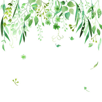 Hand-drawn Watercolor Green Floral Frame Made In Vector.