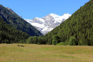 Fototapeta na wymiar Gran Paradiso Massif seen from Cogne. Valle D'Aosta. Italy