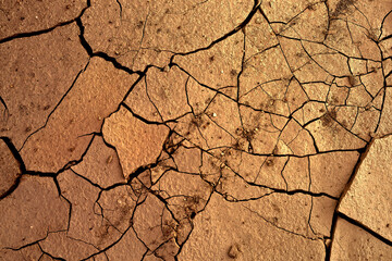 Cracked soil
