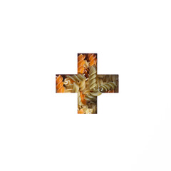 Plus summation sign or cross of pasta fusilli and white cut paper. Italian food. Typeface for calorie calculator advert