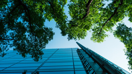 Architettura VS Natura urbana © Lorenzo