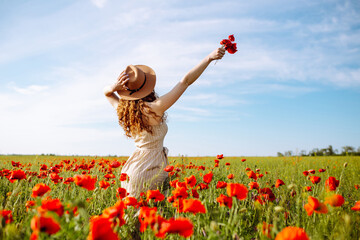 Romantic woman with flower in hand staying in poppy field. Relaxing on summer poppy flowers meadow....
