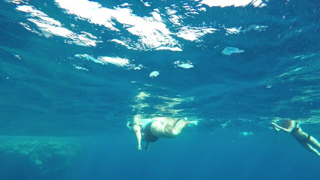 Fat woman tourist snorkeler swims in the sea dangerous depth. Underwater photography video in the Red Sea