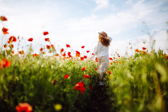 Girl in a hat with long curly hair posing in a field with red flowers. Summer landscape. Warm colors. Woman walking through a poppy field. Young girl in the spring flower garden.