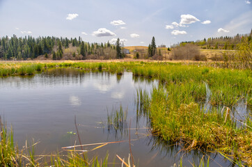 Fototapeta na wymiar Landscapes of the Alberta countryside around Pine Lake and Red Deer