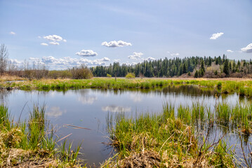 Landscapes of the Alberta countryside around Pine Lake and Red Deer