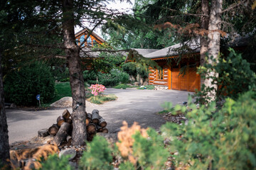 Fototapeta premium mountain home log cabin in the woods 