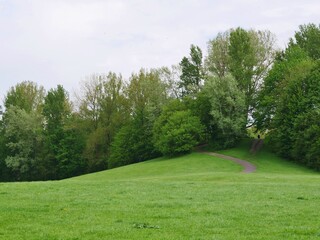 Fototapeta na wymiar Hügel mit Rasen im Park