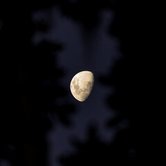Lua. Moon.