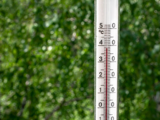 Thermometer close-up with red mercury on the background of blurred green trees. 39 degrees heat. Bokeh.